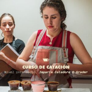 Catación Intermedia