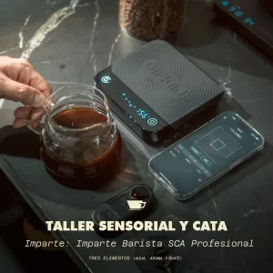 Taller sensorial y cata (agua, aroma y café) "Tres elementos"